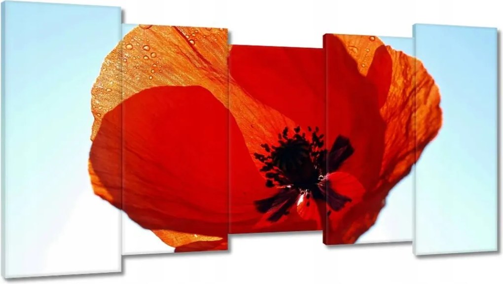 Vászonkép 150x80 Pipacs Virágok