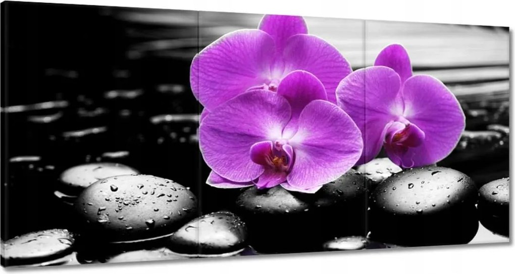 Vászonkép 180x90 Lila leanderek