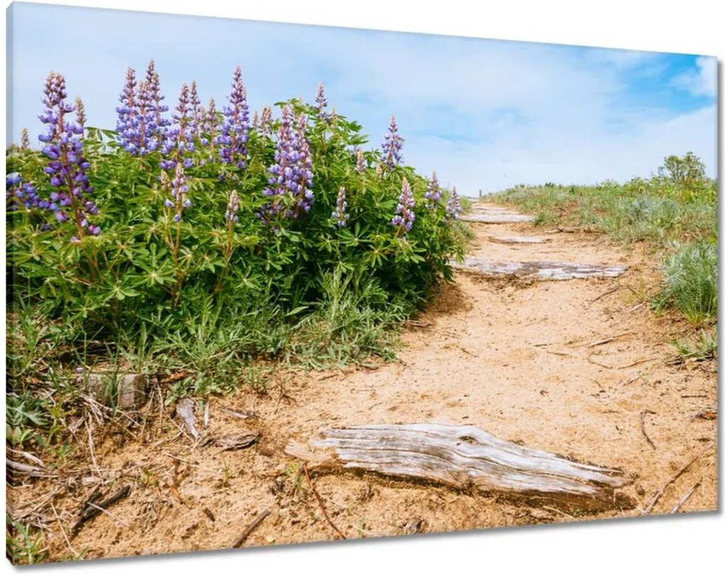 Vászonkép 100x70 Lépcsők Virágok Rét