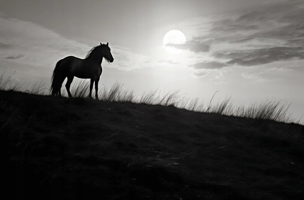 Poszter 86,4x56,8cm Holdőrség