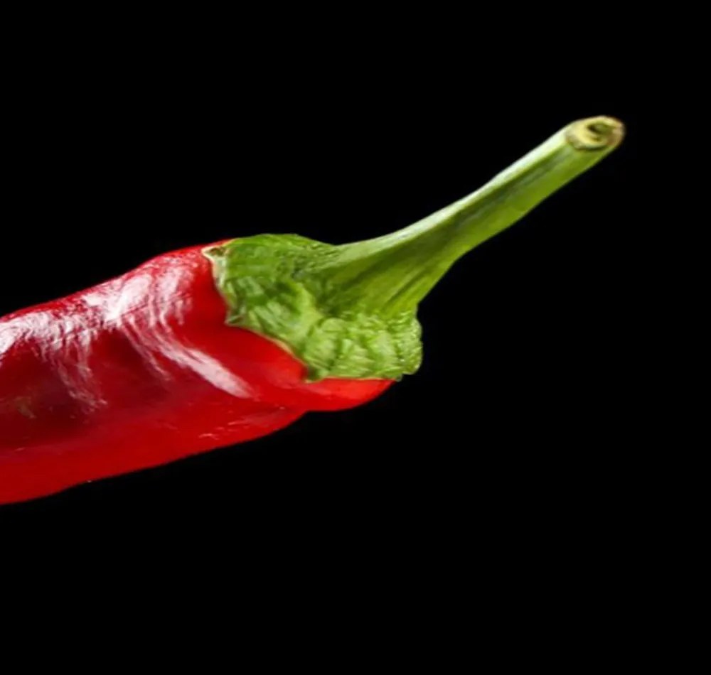 Gario Paraván Chili paprika villán Méret: 180 x 170 cm, Kivitelezés: Forgó paraván 360°