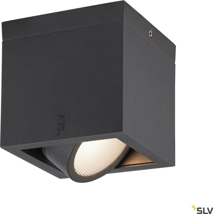 SLV 1006316 ESKINA Modern Kültéri Mennyezeti Lámpa LED IP65
