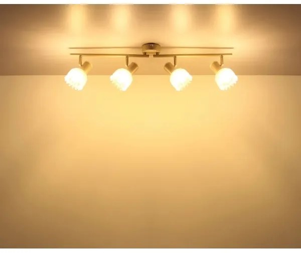 Globo 54317-4 - PLANTA spotlámpa 4xE14/40W/230V