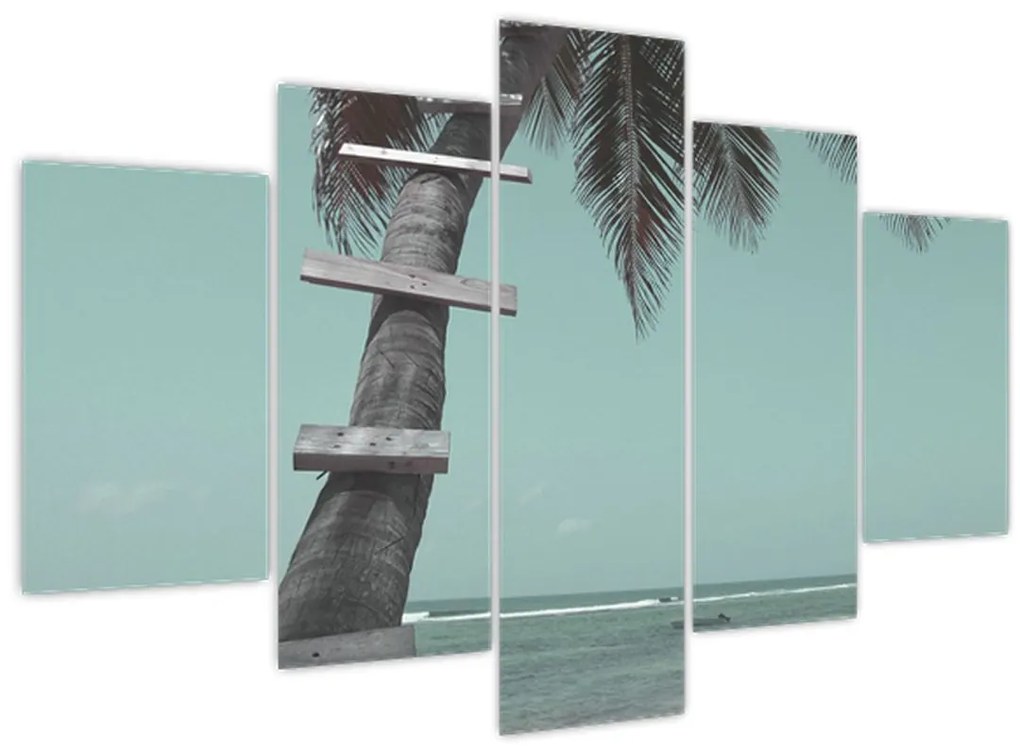 Kép - Palma a Karib-tengeren (150x105 cm)