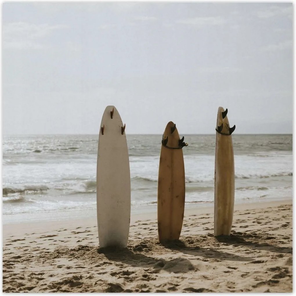 Poszterek 100x100 Szörfdeszkák bézs