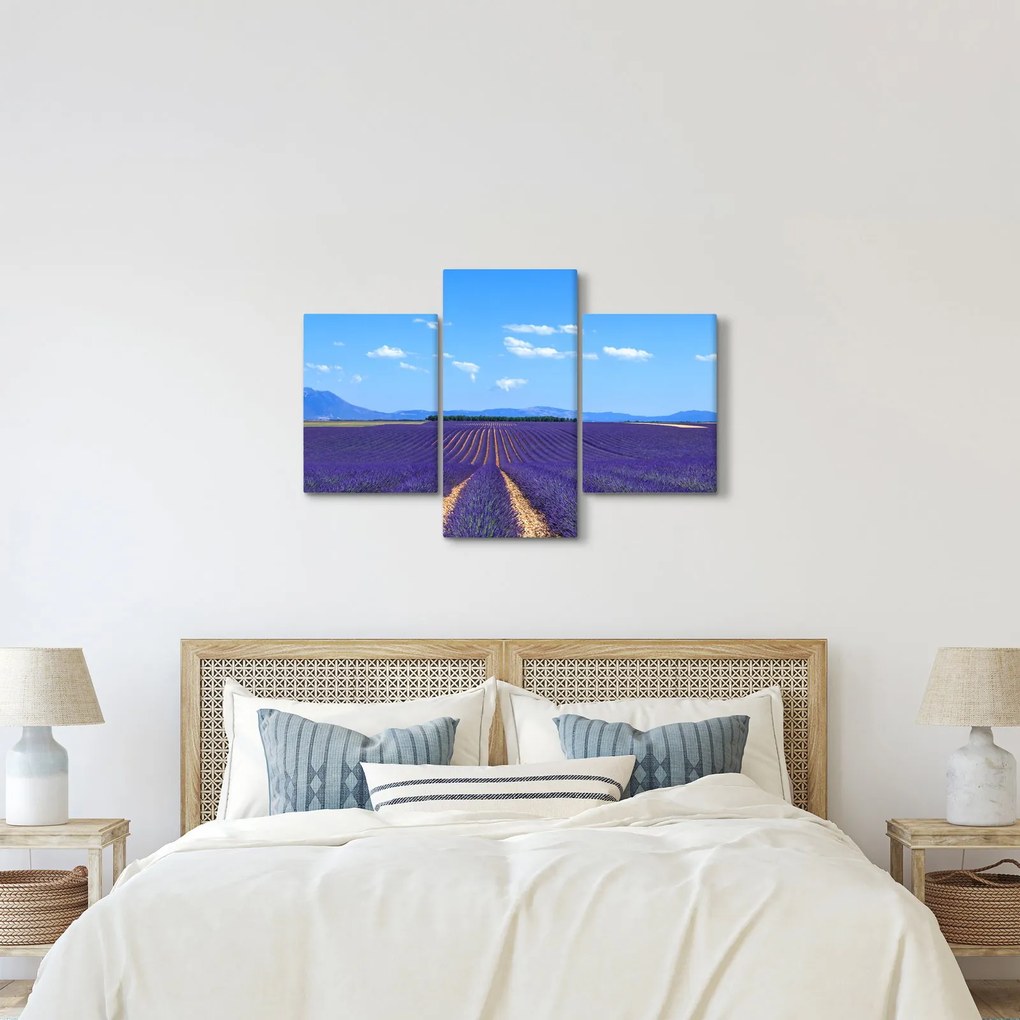 Kép - Levendula mező (90x60 cm)
