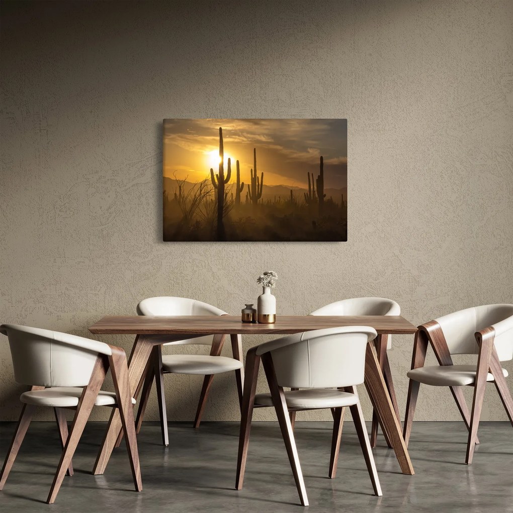 Kép - Saguaro kaktuszok (90x60 cm)