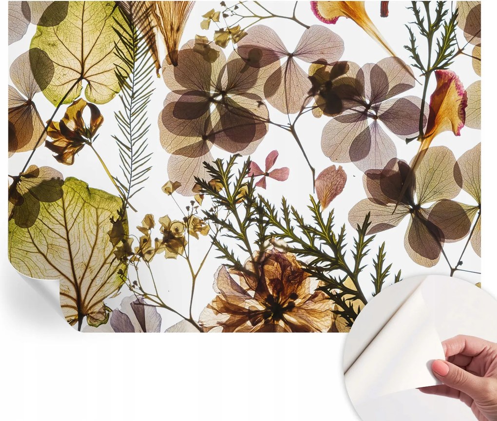 Öntapadós tapéta 3D fali furnér Természetes kompozíció 208x146 cm