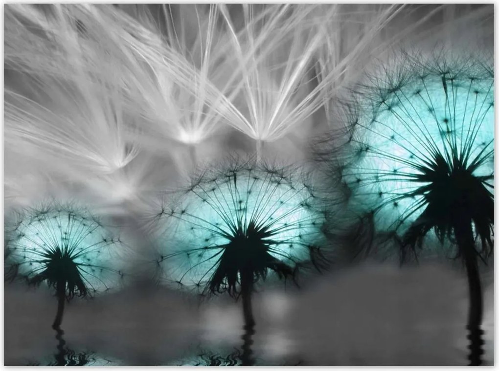 Poszterek 135x100 Türkiz pitypangok Víz