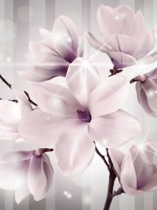 Fotótapéta Magnólia vinil tavaszi elegancia finom virágok 184x254 +ragasztó