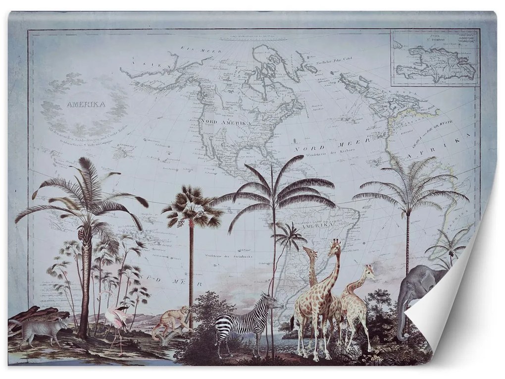 Gario Fotótapéta Régi térkép és Savannah - Andrea Haase Anyag: Vlies, Méret: 150 x 105 cm