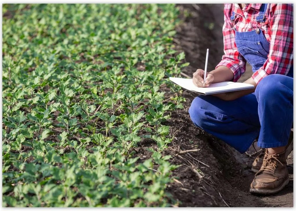 Poszterek 100x70 Modern mezőgazdaság