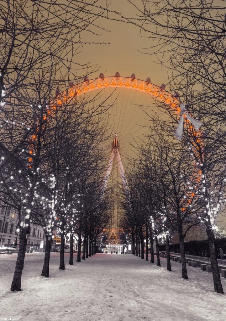 Poszter 21x29,7cm London Eye éjszaka fákkal, Assaf Frank