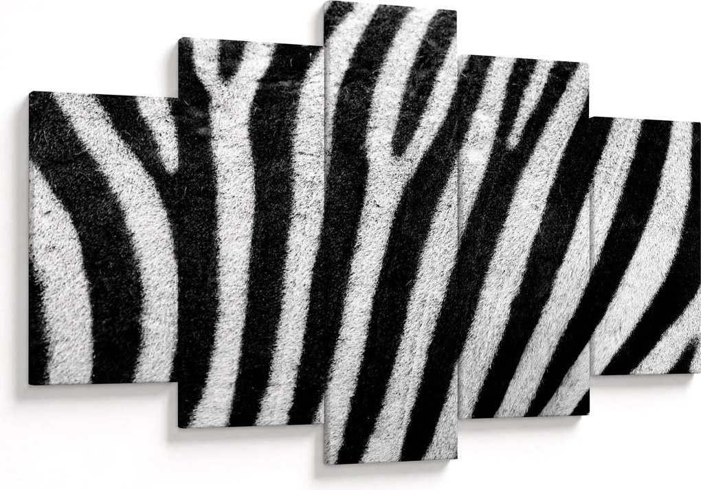 Kép egy zebra bőrről (150x105 cm)