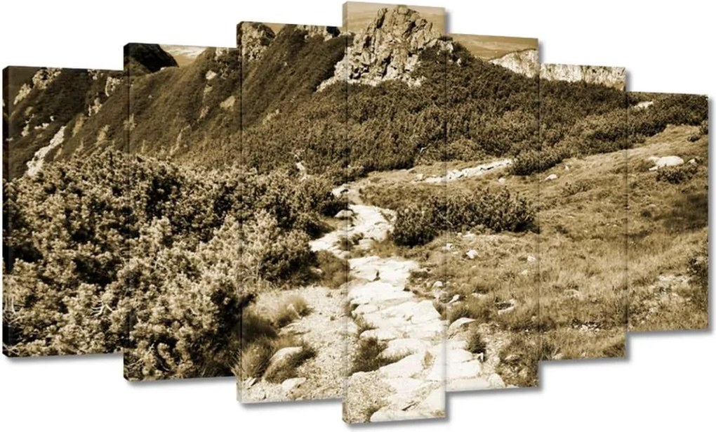 Képek 140x80 Tátra Lengyel hegyek Kilátás