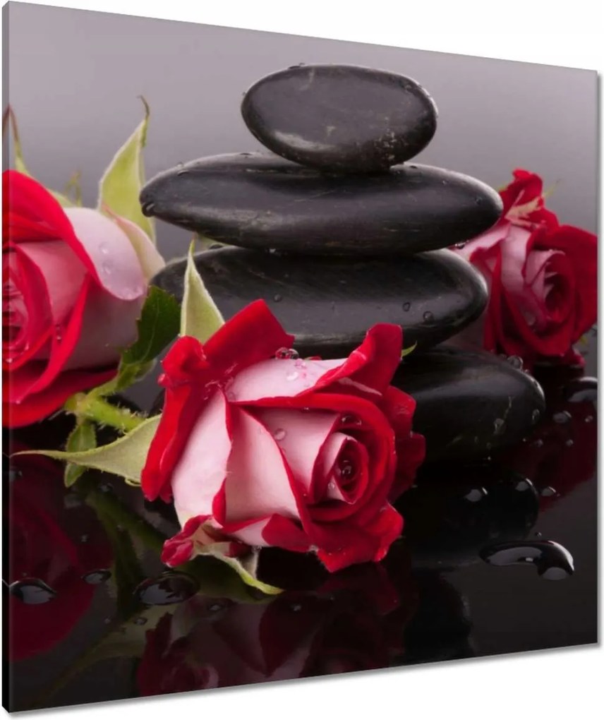 Vászonkép 80x80 Rózsák a kövek körül