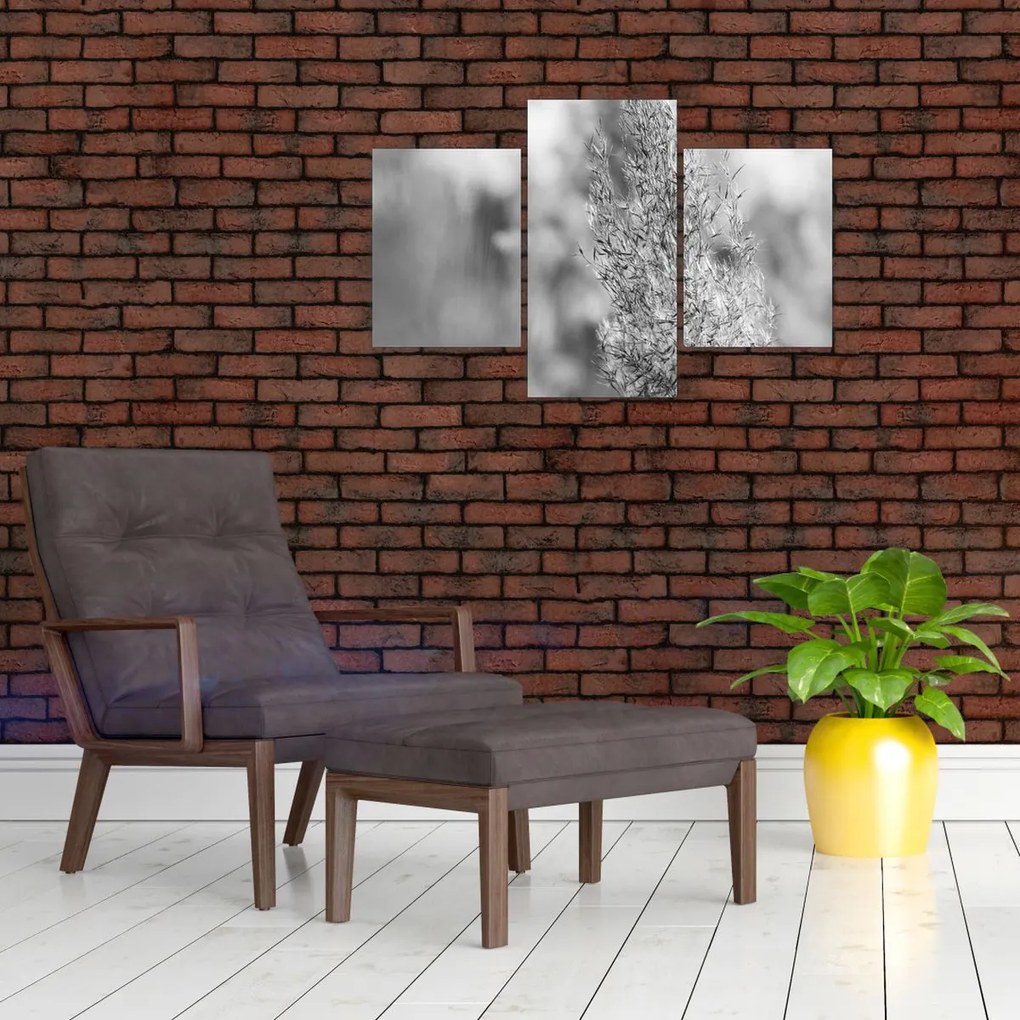 Kép - Boho pampafű (90x60 cm)