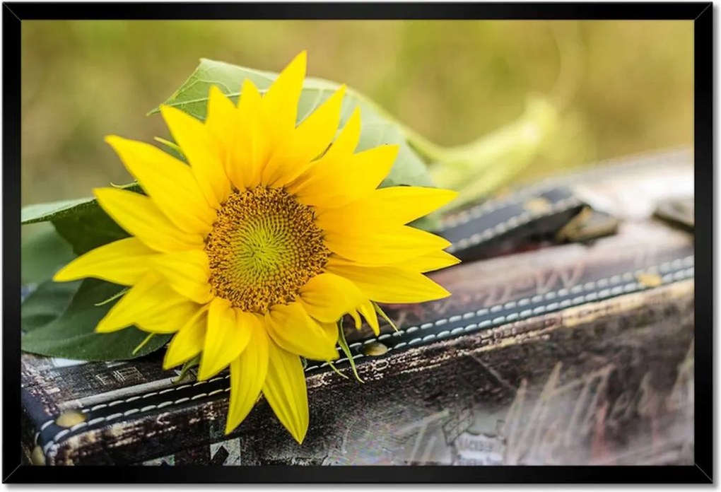 Poszterek keretben 60x40 Napraforgó a bőröndön