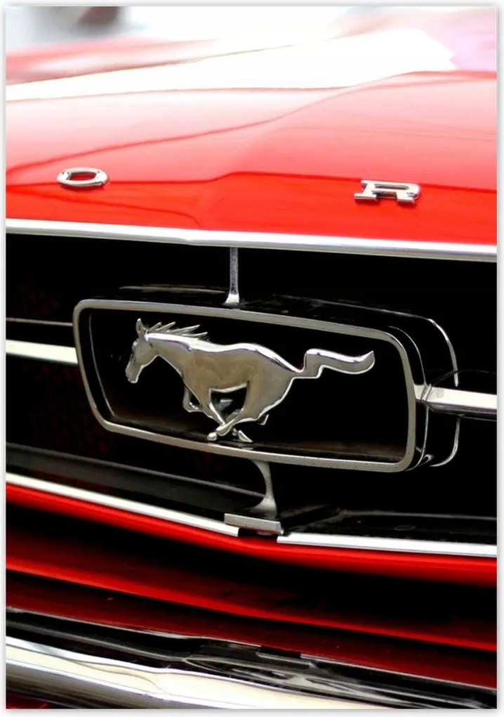 Poszterek 70x100 Ford Mustang grill