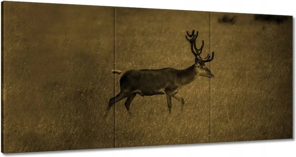 Festmények 180x90 Szarvas
