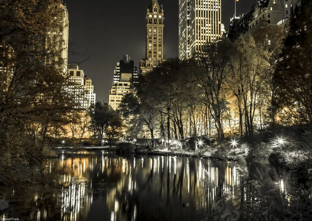 Poszter 29,7x21cm Esti kilátás a New York-i Central Parkra 9, Assaf Fra