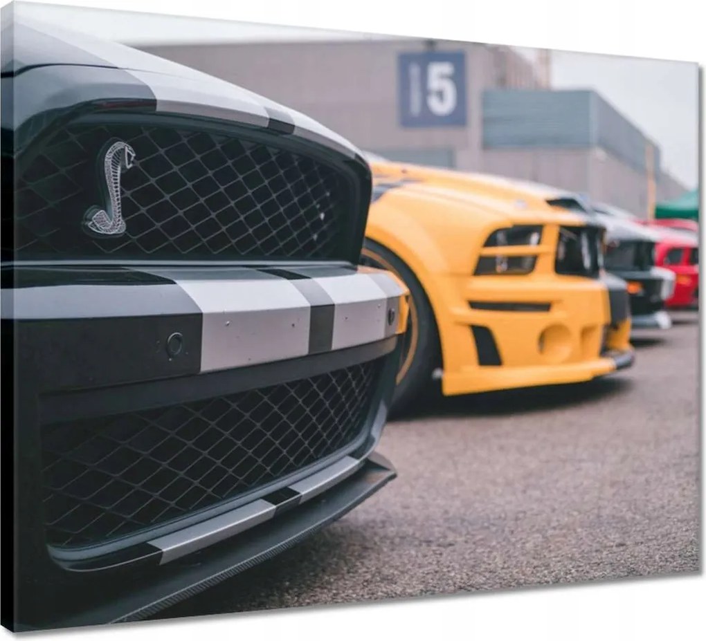 Vászonkép 50x40 Ford Mustang Autó