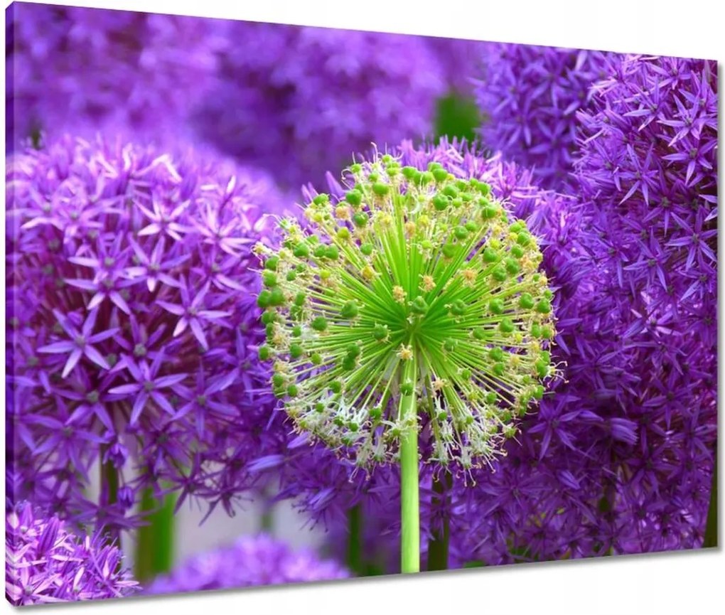 Vászonkép 80x60 Zöld virág