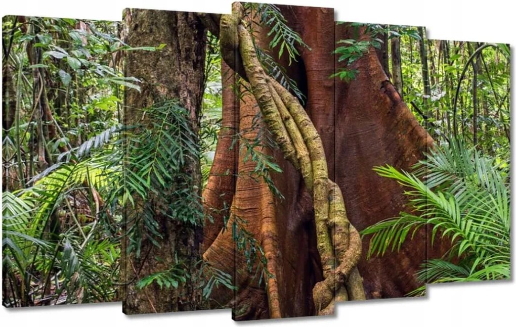 Festmények 100x60 Tájkép Látvány