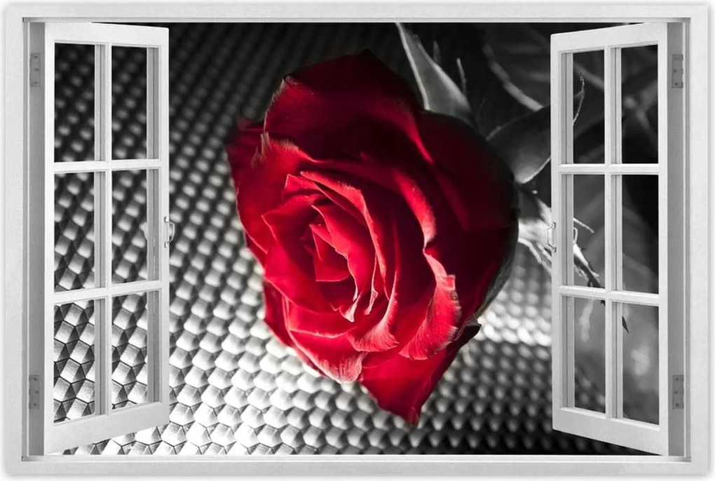 Poszter 60x40 Rózsa nőknek