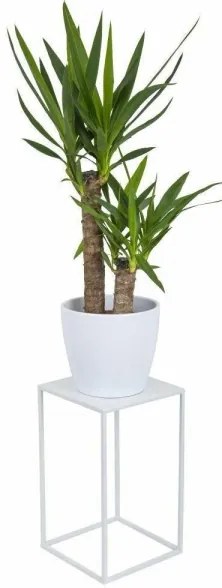 Virágállvány 40x24 cm, fehér