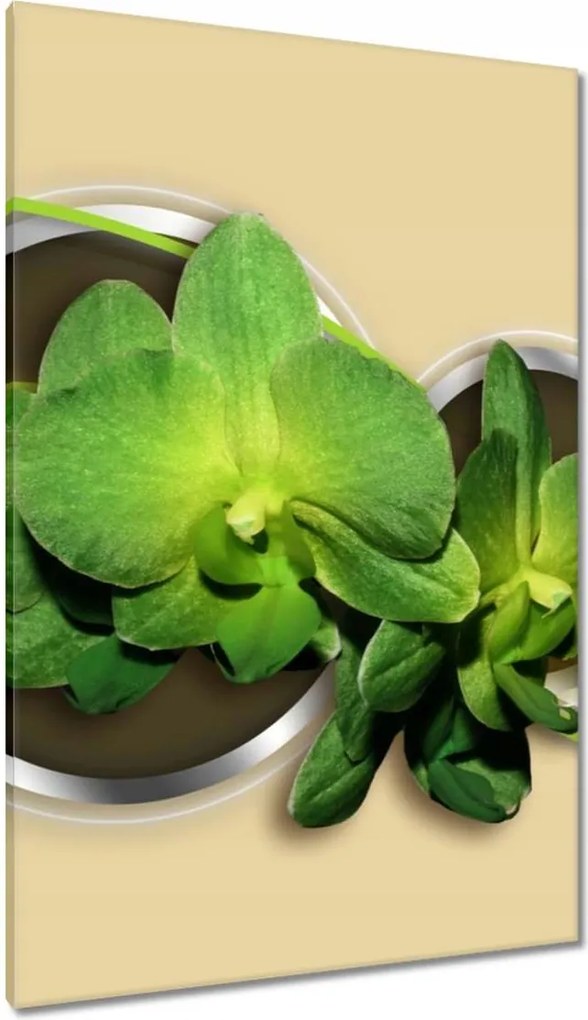 Vászonkép 80x120 Zöld orchidea