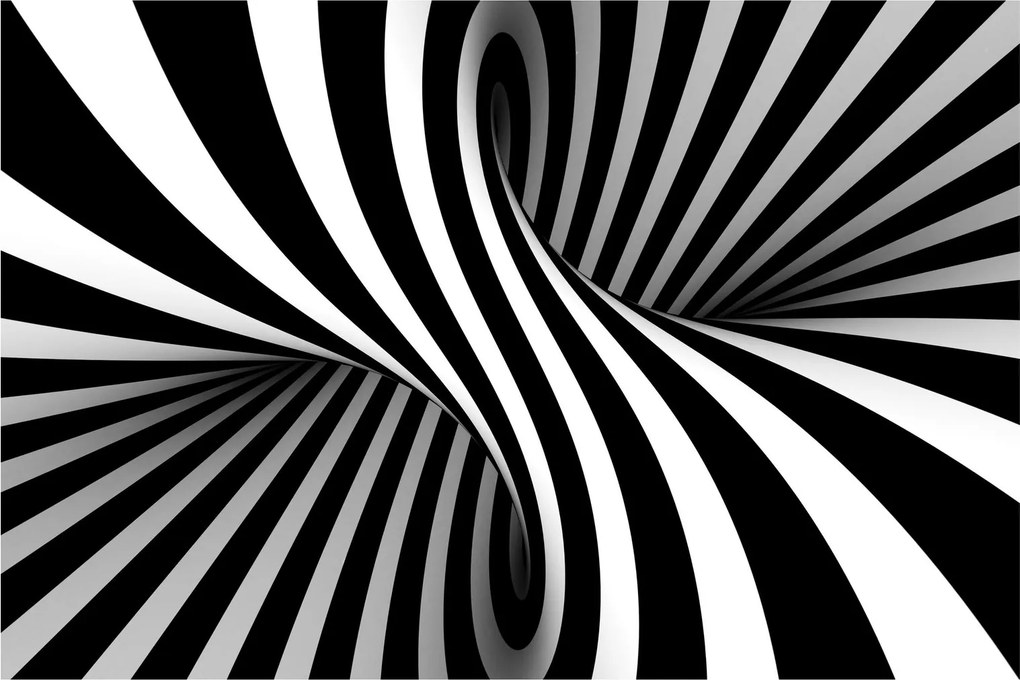 Absztrakt kép zebra csíkokkal (90x60 cm)