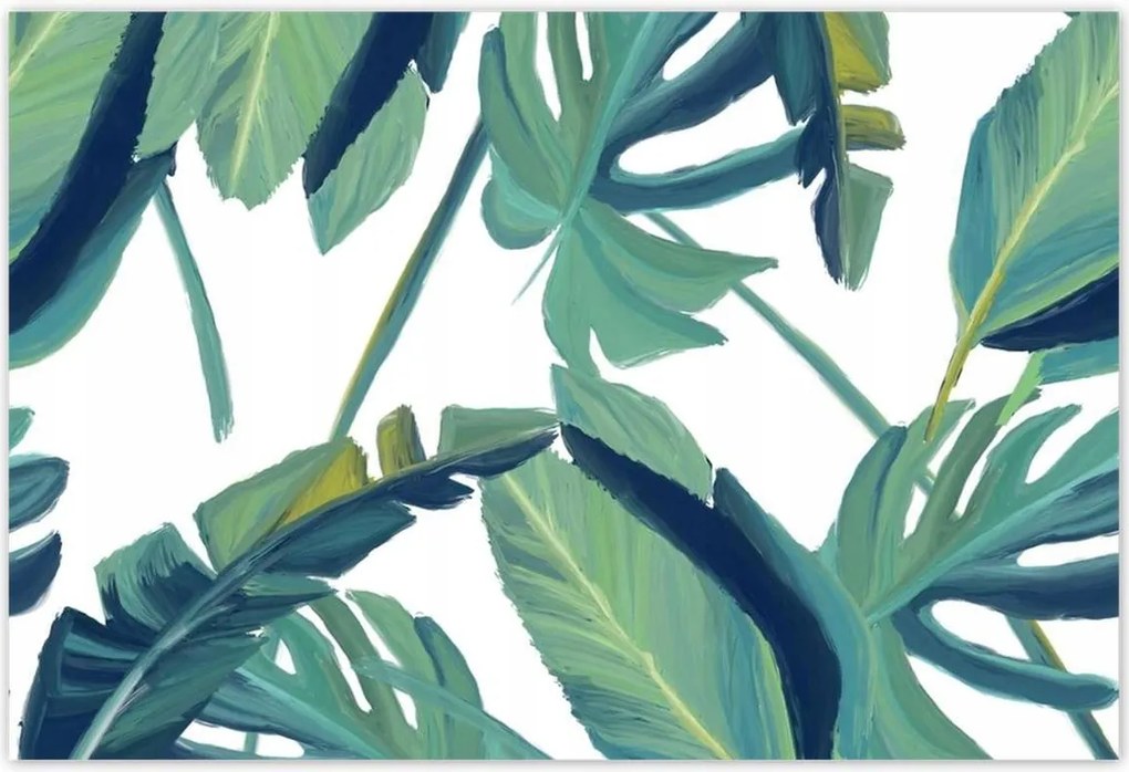 Poszterek 200x135 Monstera Levelek levél