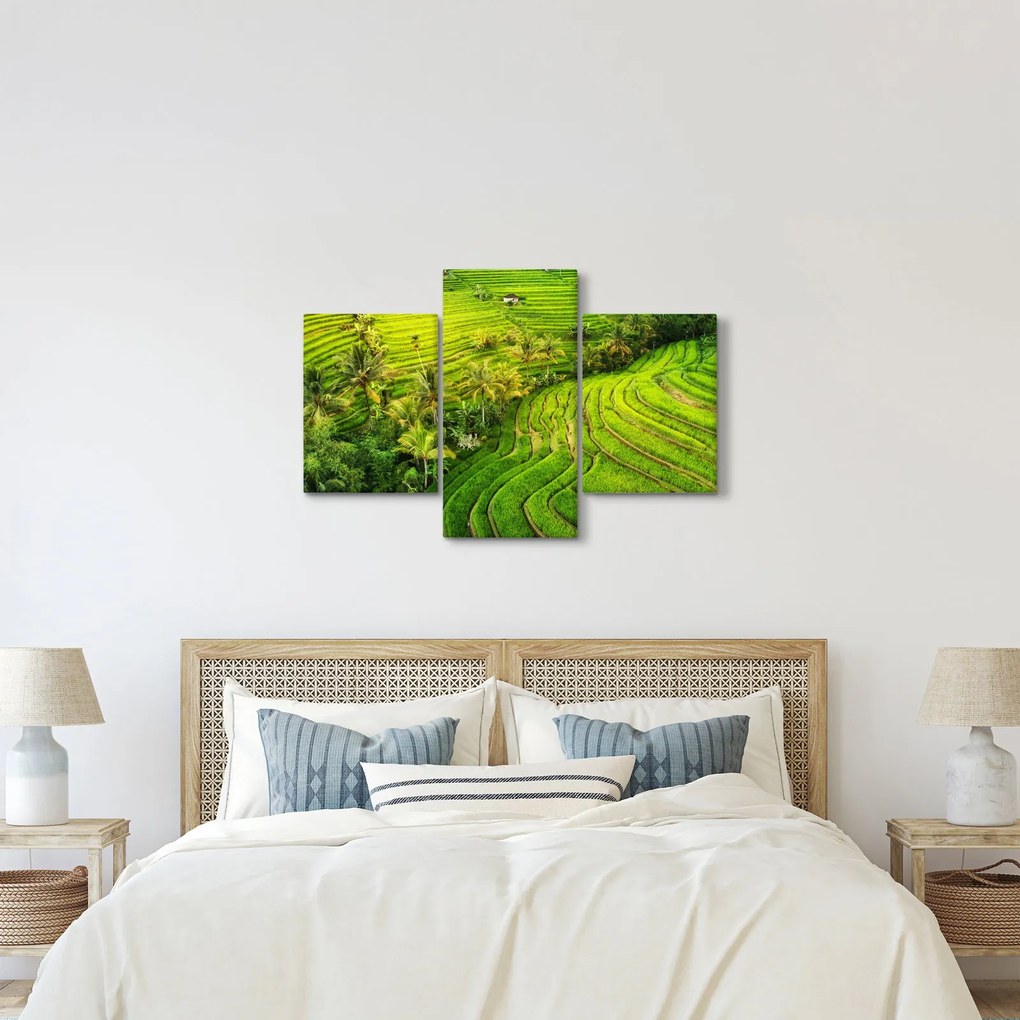 Kép - Rizs teraszok (90x60 cm)