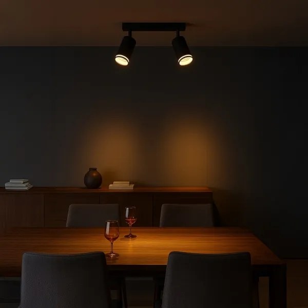 PIPE spotlámpa 2xGU10/10W/230V fekete