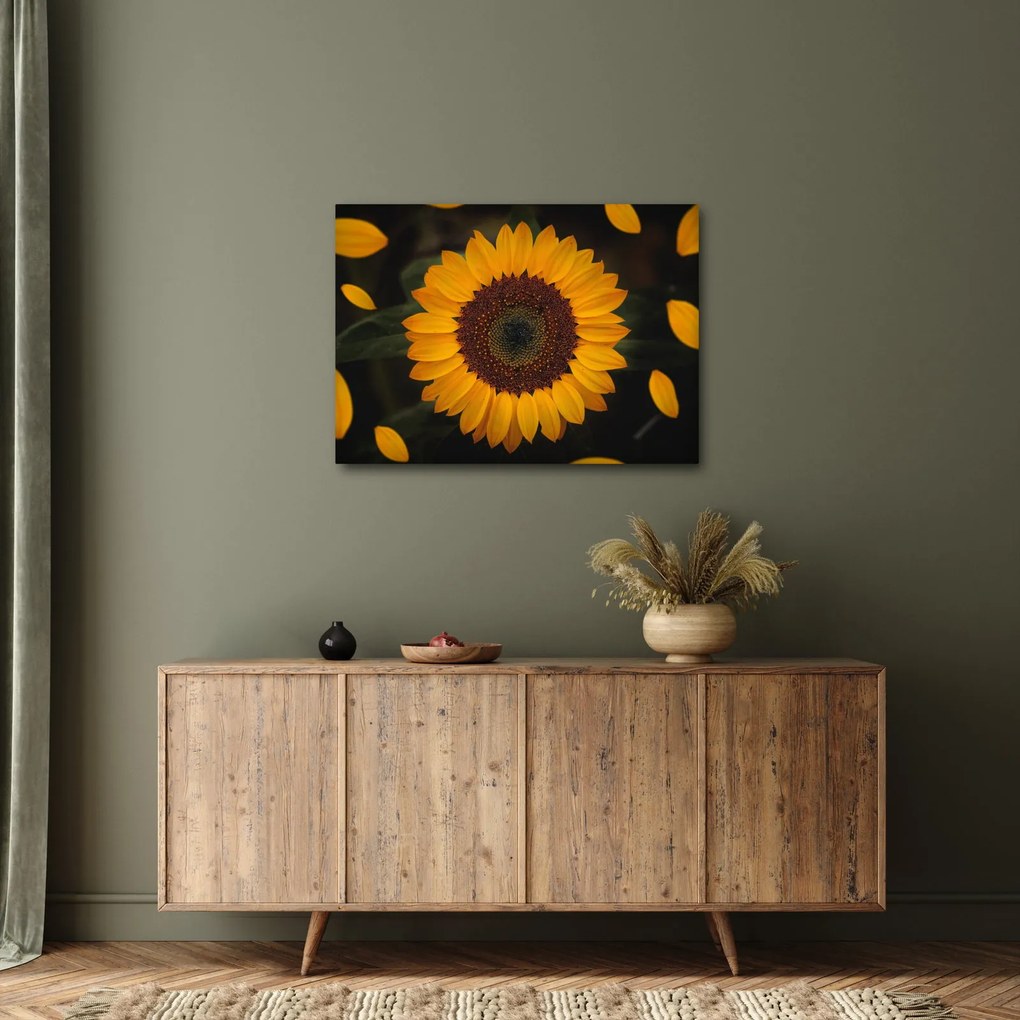 Kép - Napraforgók és a virágszirmok (70x50 cm)