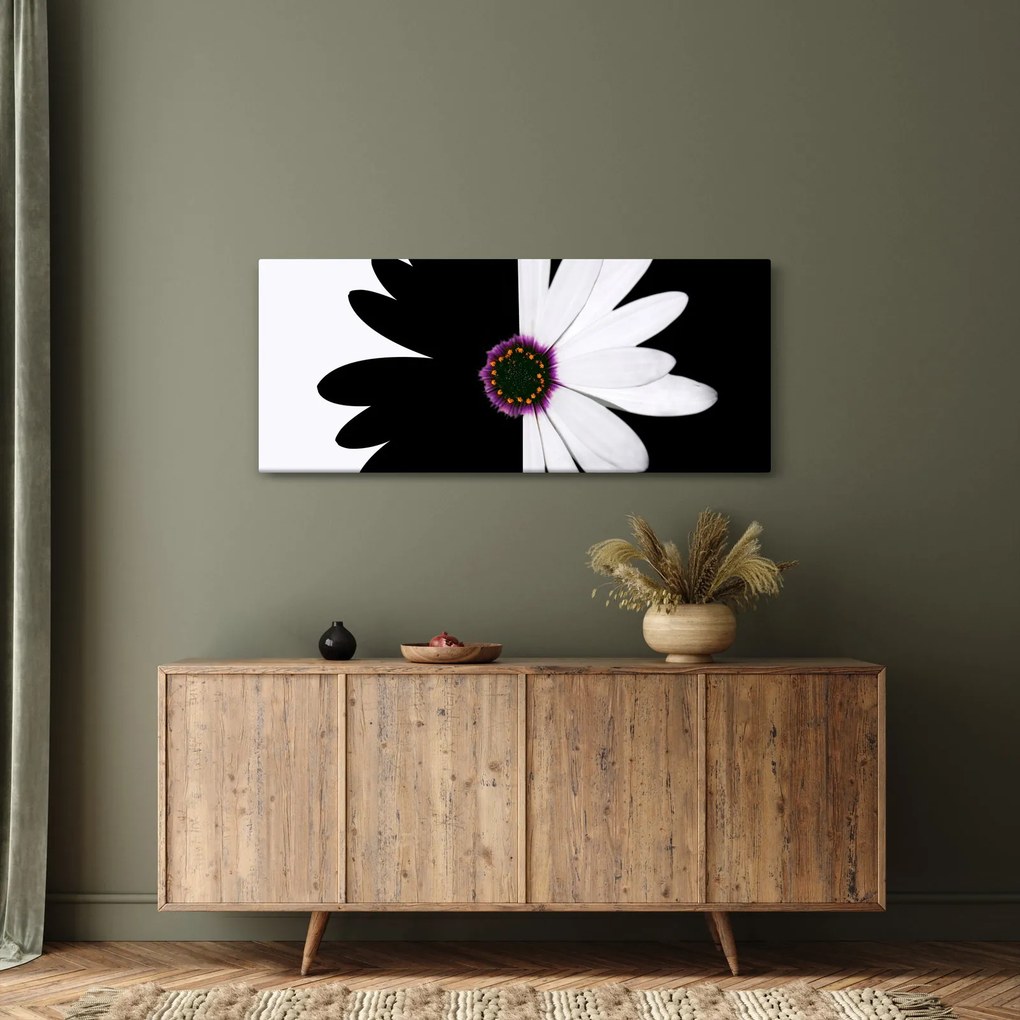 Egy fekete-fehér virág képe (120x50 cm)