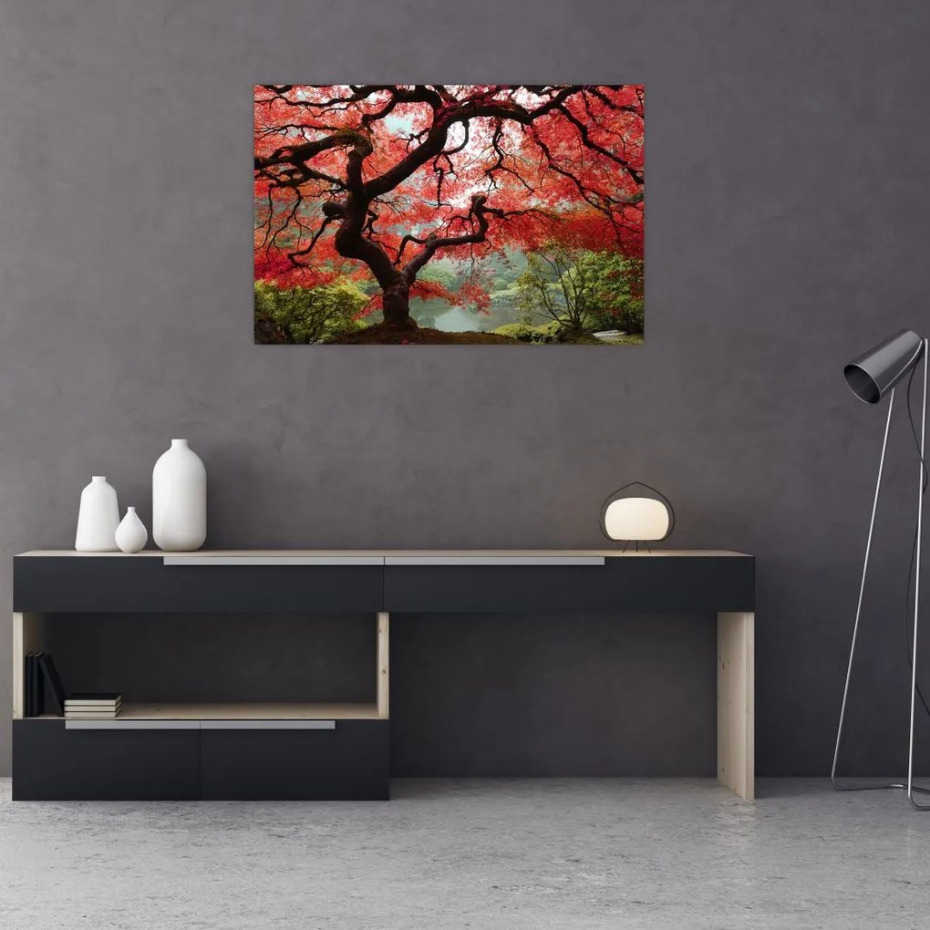 Red Japanese Maple, Portland, Oregon képe (90x60 cm)