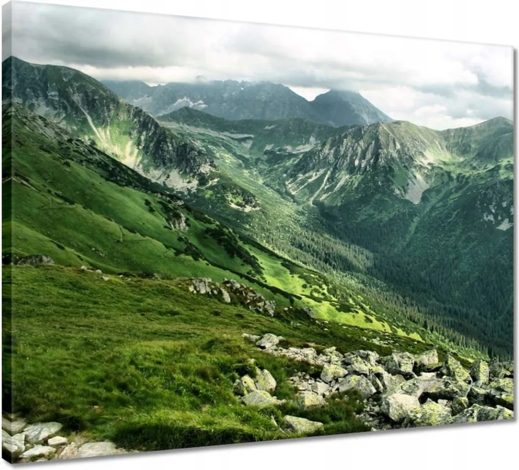 Vászonkép 50x40 Tátra Lengyel hegyek Kilátás