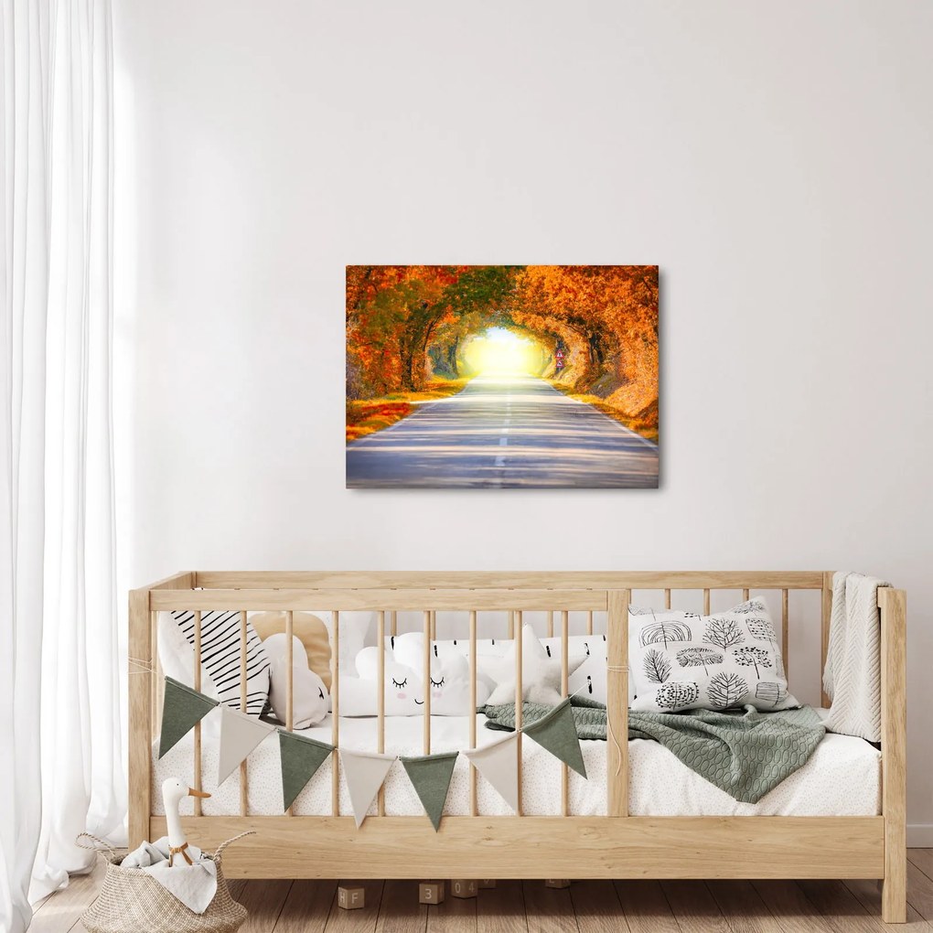 Kép - kapu a fák koronájából (70x50 cm)