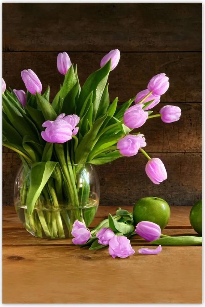 Poszterek 80x120 Lila tulipánok