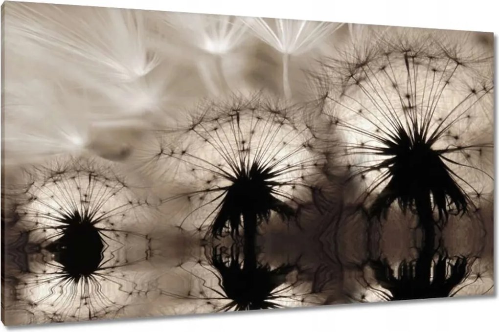 Vászonkép 120x70 Pitypangok szépia papírsárkányok