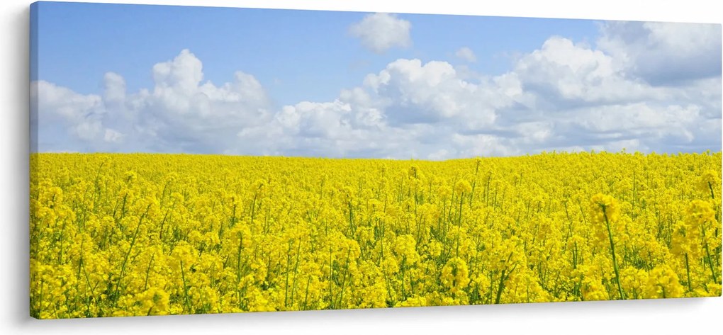 Egy sárga mező képe (120x50 cm)