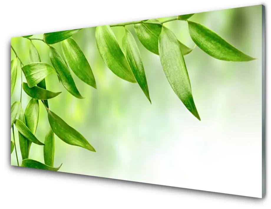 Akrilkép Zöld levelek Természet 140x70 cm