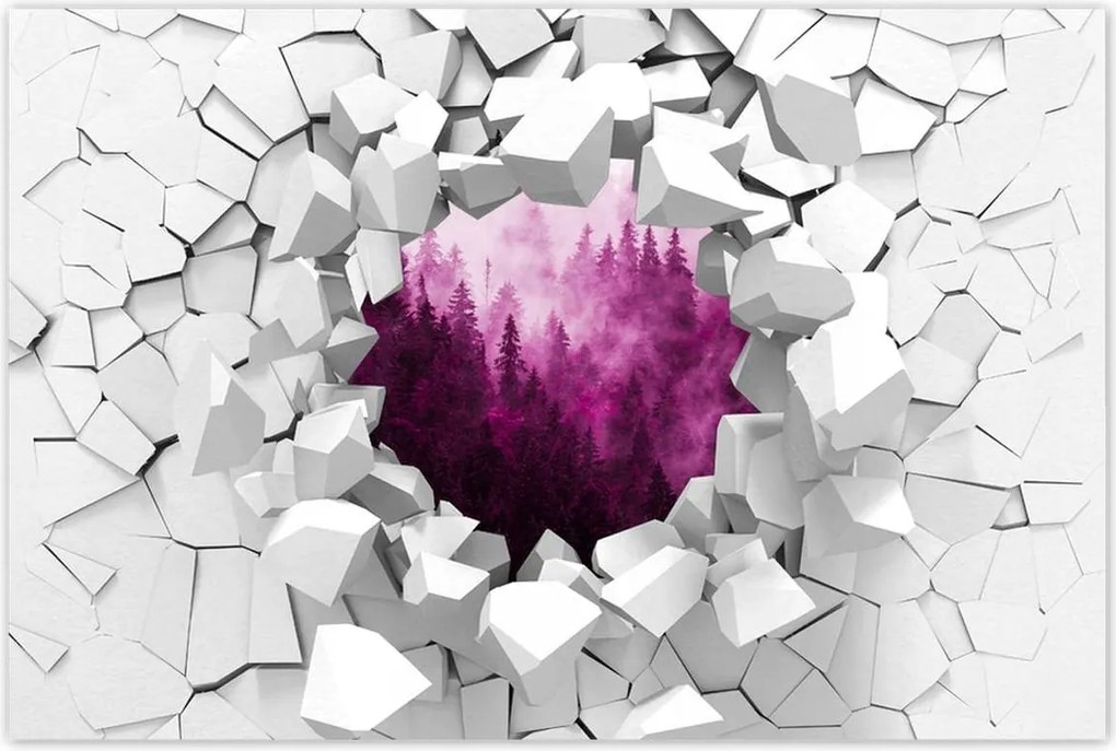 Poszterek 60x40 Tájkép Rózsa Hegyek Köd