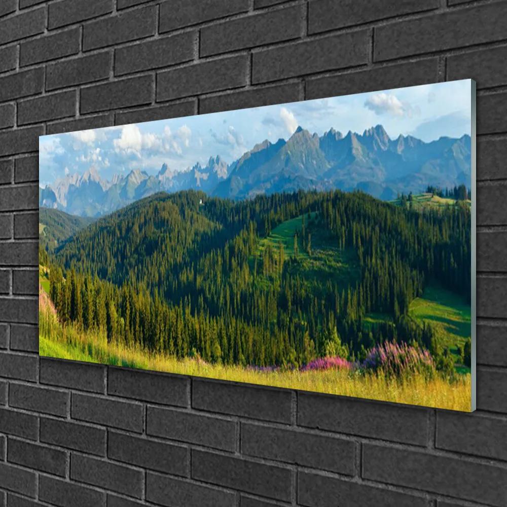 Fali üvegkép Mount Forest Nature 125x50 cm