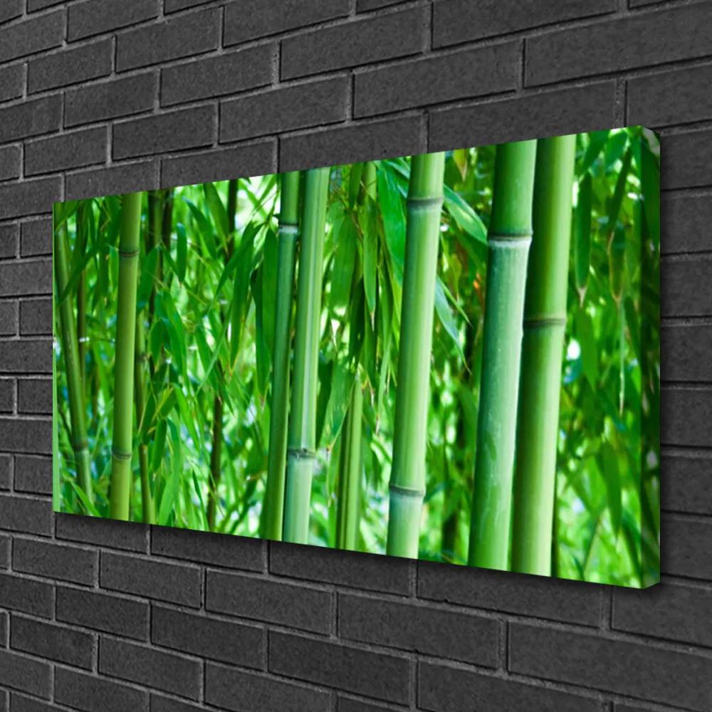 Canvas kép Bamboo Stem Plant 120x60 cm