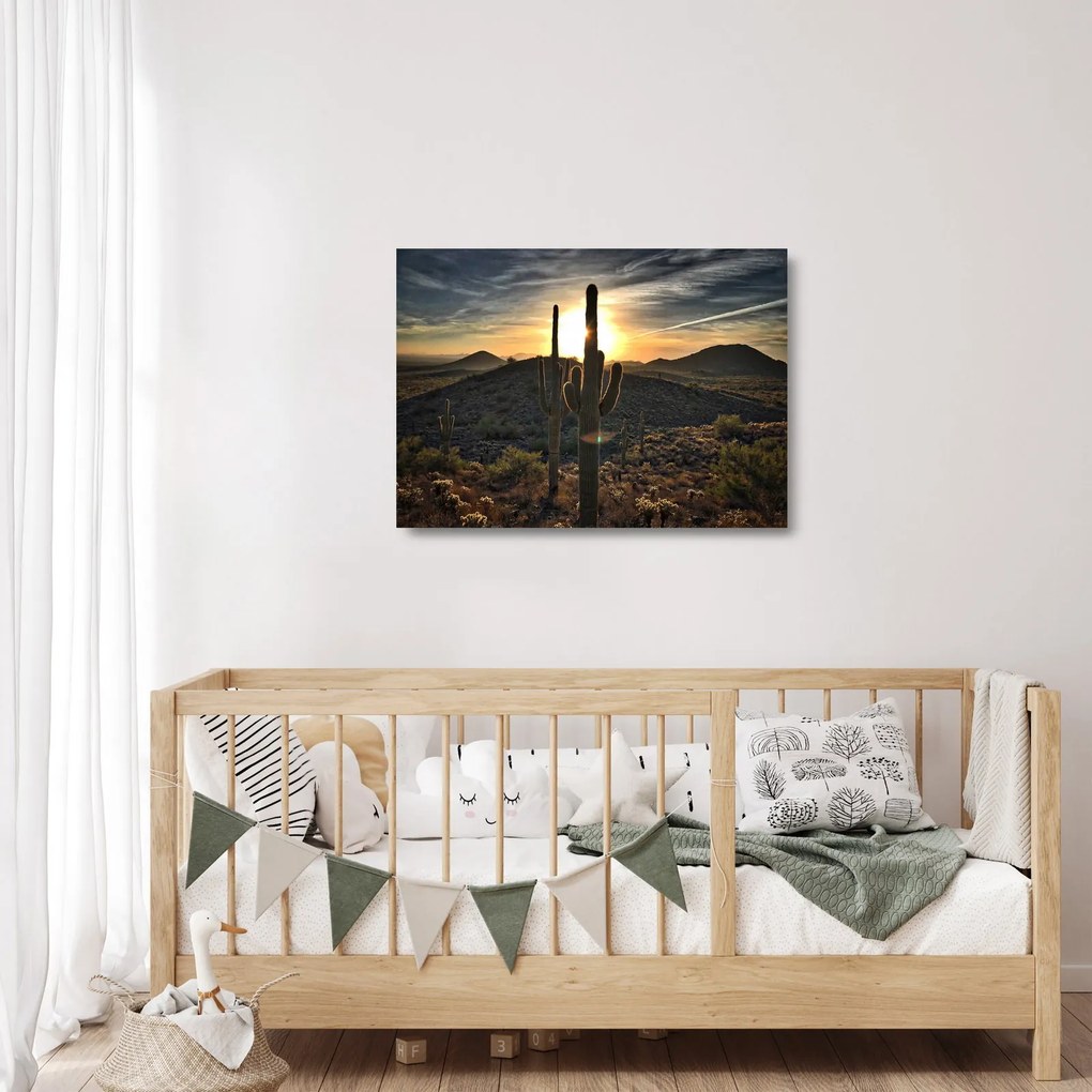 Kép - kaktuszok a napon (üvegen) (70x50 cm)