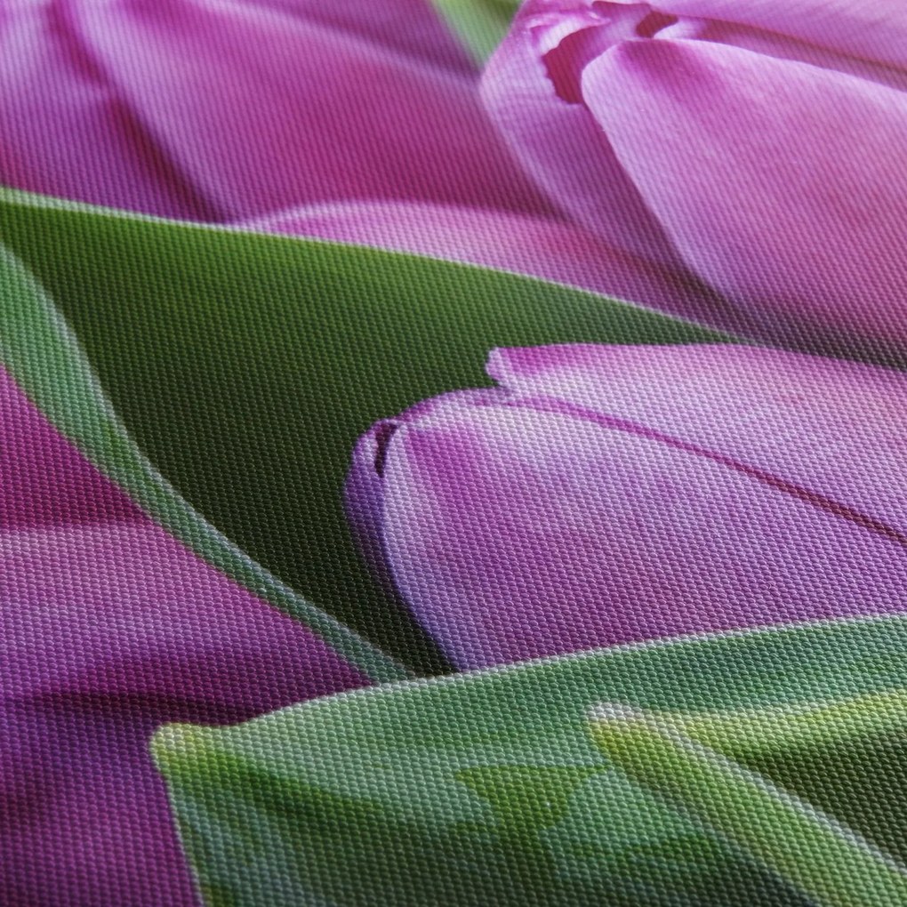 Kép - tulipánok (90x60 cm)