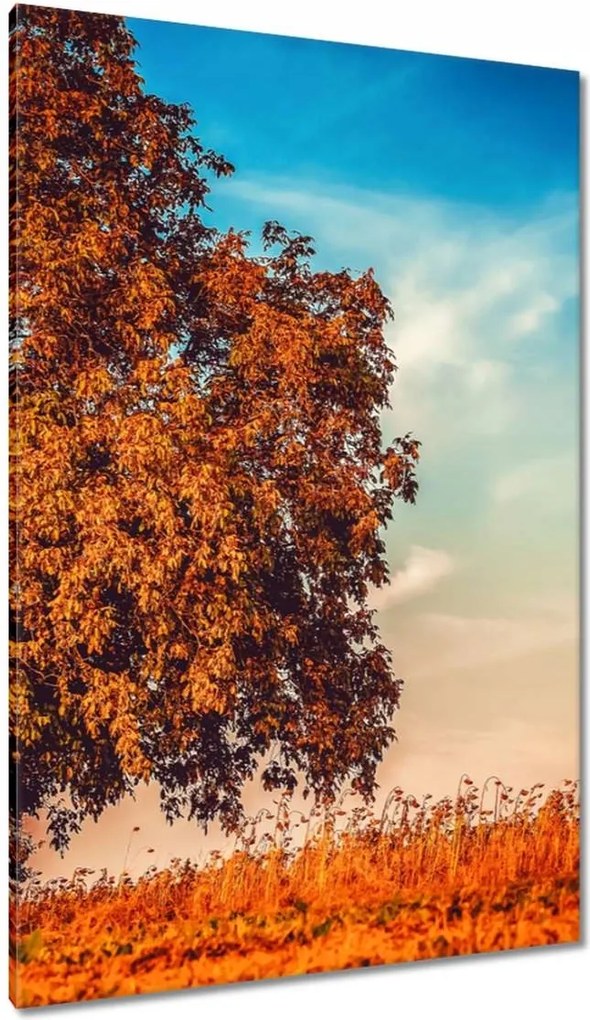 Vászonkép 80x120 Őszi színek Tájkép